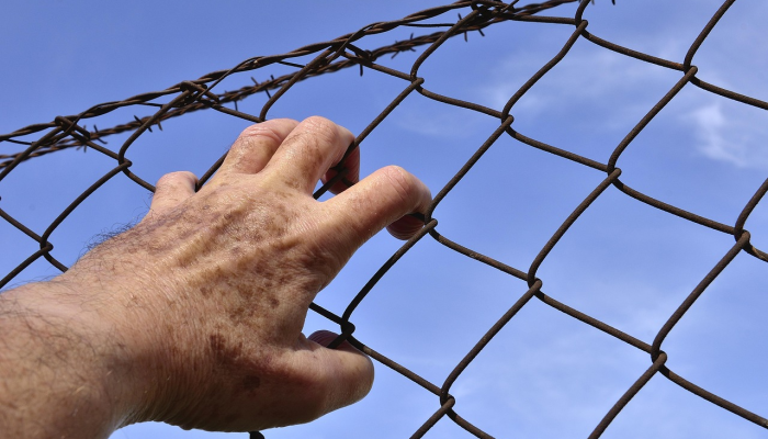 开挂辅助工具“西兵互娱破解免费的”详细开挂玩法 开挂辅助工具“西兵互娱破解免费的”详细开挂玩法