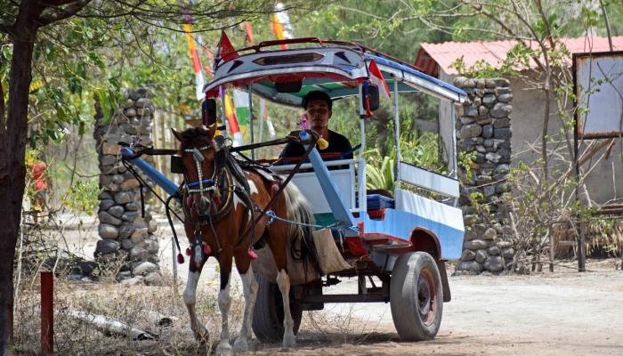 推荐一款”新道游有挂吗”(原来确实是有挂) 推荐一款”新道游有挂吗”(原来确实是有挂)