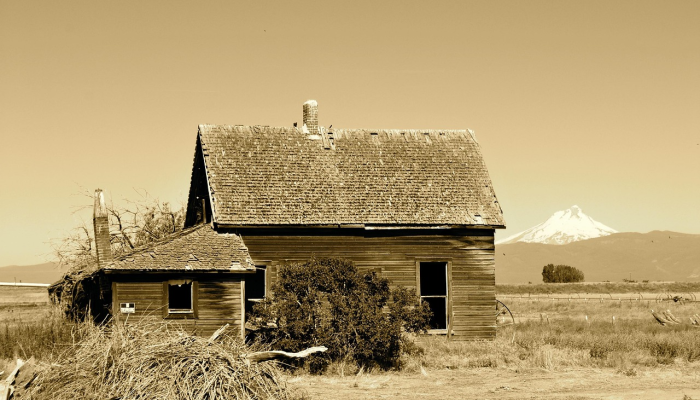 基莫拉·李·西蒙斯逃离房屋火灾 基莫拉·李·西蒙斯逃离房屋火灾