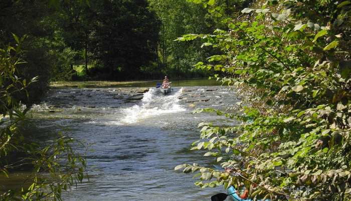 DEQ监测新伯尔尼附近Neuse河正在发生的鱼类死亡 DEQ监测新伯尔尼附近Neuse河正在发生的鱼类死亡