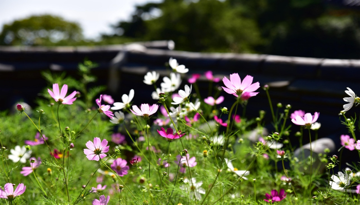 以下是我希望在我花了7年心碎的时间想要个孩子之前就知道的事情