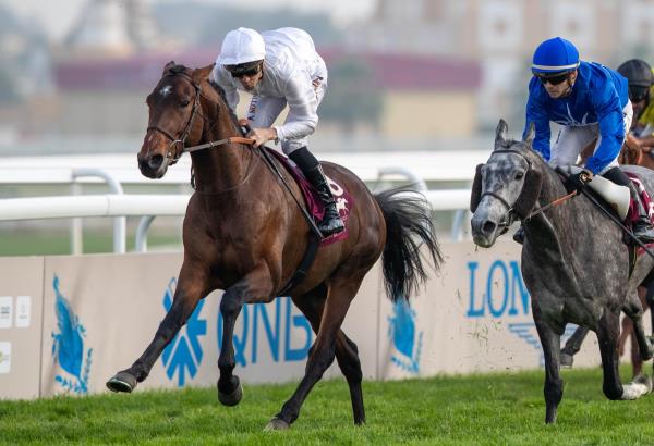 万能开挂辅助“牵手跑胡子开挂神器下载”开挂(透视)辅助教程 万能开挂辅助“牵手跑胡子开挂神器下载”开挂(透视)辅助教程