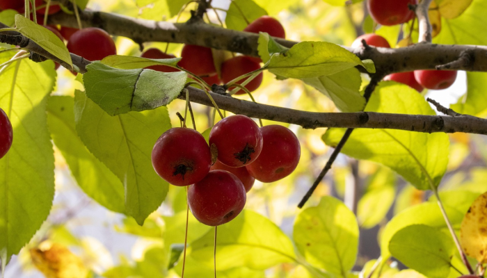 玩家必看教程“传送屋激k黑科技辅助器最新版本”(曝光透视必备猫腻) 玩家必看教程“传送屋激k黑科技辅助器最新版本”(曝光透视必备猫腻)