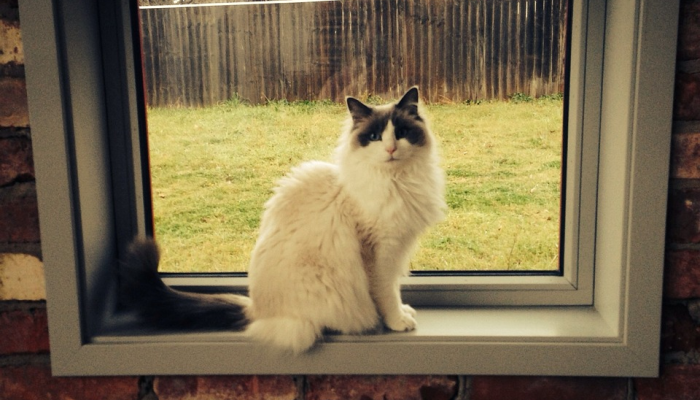 教程辅助!“哈哈长沙麻将开挂最新版本更新内容”(曝光透视必备猫腻) 教程辅助!“哈哈长沙麻将开挂最新版本更新内容”(曝光透视必备猫腻)