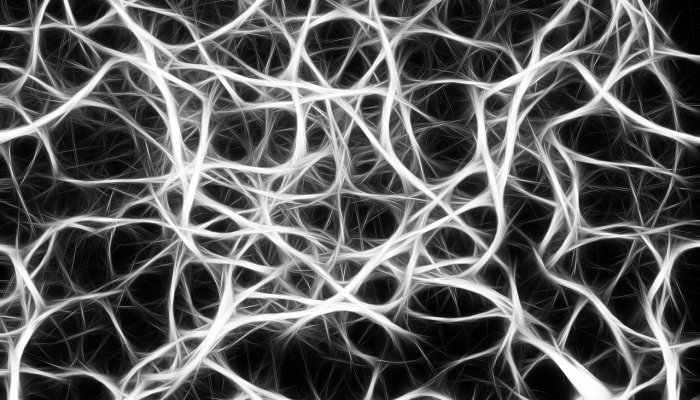 我为什么贫穷?理解并打破这个循环 我为什么贫穷?理解并打破这个循环