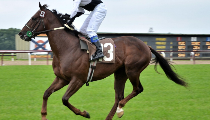 奥加拉的挫败感:拉罗谢尔在主场输给卡斯特后,在14强赛的四场比赛中输了第三场 奥加拉的挫败感:拉罗谢尔在主场输给卡斯特后,在14强赛的四场比赛中输了第三场