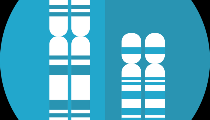 不同的DNA:撼动遗传学的意外发现 不同的DNA:撼动遗传学的意外发现