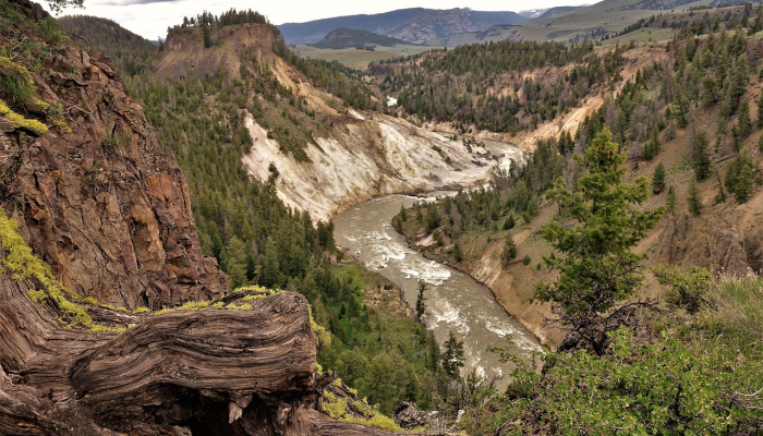教程辅助!“大宝连云港麻将怎么开挂”其实确实有挂