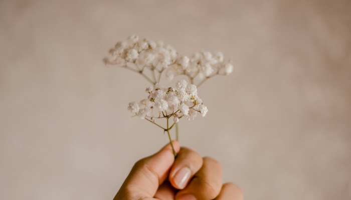 实测辅助“花花生活圈外卦神器”(原来确实是有挂) 实测辅助“花花生活圈外卦神器”(原来确实是有挂)
