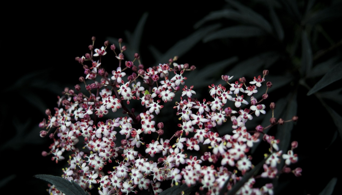 1分钟学会“微乐四川麻将外卦神器下载!详细分享装挂步骤 1分钟学会“微乐四川麻将外卦神器下载!详细分享装挂步骤