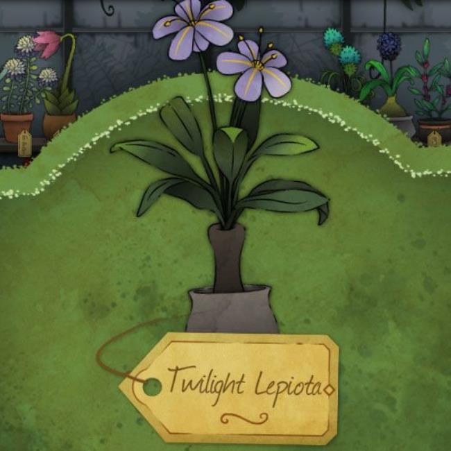 An unremarkable plant made up of sparse green leaves called Common Trouse in Strange-Horticulture