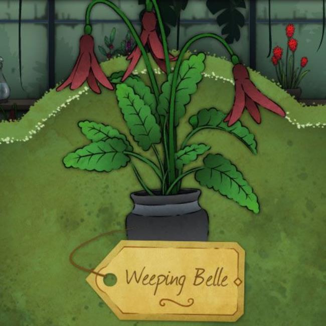 A bushy, red flower with straight leaves that look like grass blades called-Candlewood in Strange Horticulture