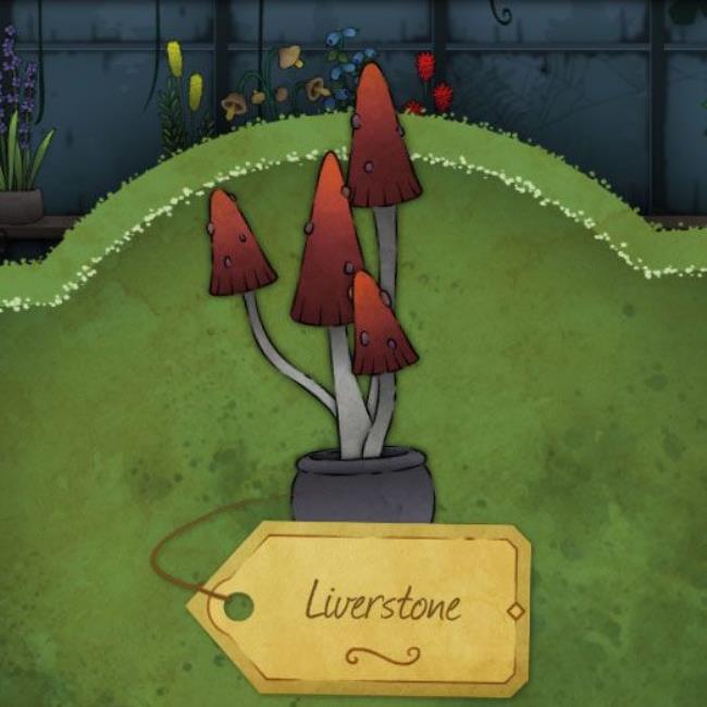 A plant with a long stalk and tiny, pointy, light purple flowers growing all over. The leaves are thin but otherwise common. It is called Solomon's Sceptre in Strange Horticulture.