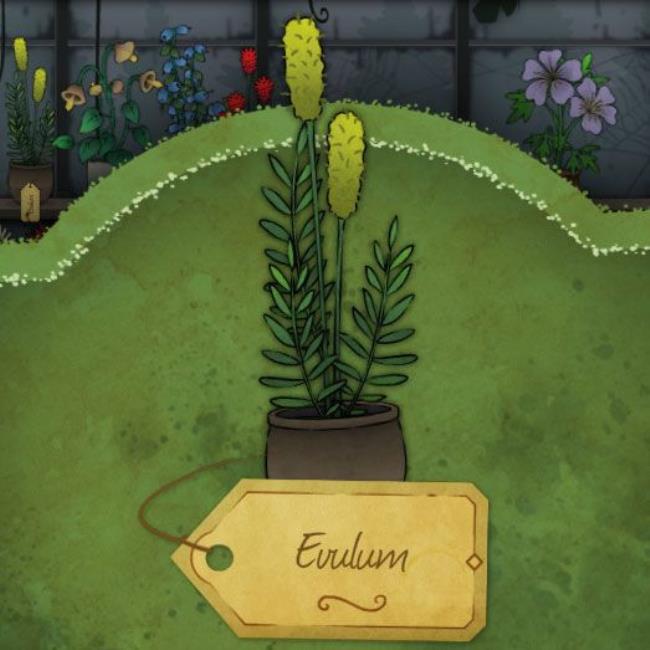 A red, spo<em></em>ngy mushroom with protruding red spores called-Bishop's-Parasol in Strange-Horticulture