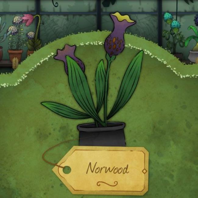 A bell-shaped, deep purple flower with a strange orange pattern and long leaves with canals. It is called Norwood in Strange Horticulture.