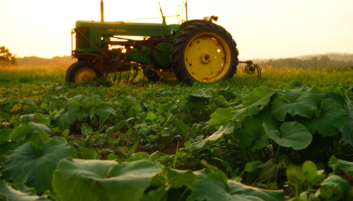 玩家必看教程“哈灵干瞪眼辅助器”开挂(透视)辅助教程
