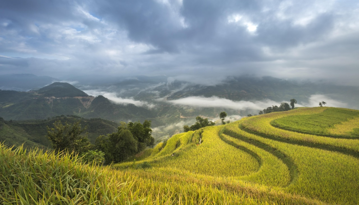 准备去湖边旅行的丈夫赢得了密苏里州的大奖“又是一天”