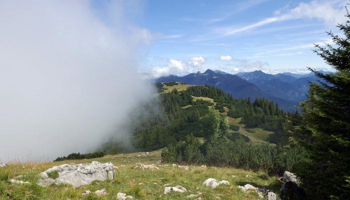 辅助神器“边锋干瞪眼怎么拿好牌”分享用挂教程 辅助神器“边锋干瞪眼怎么拿好牌”分享用挂教程
