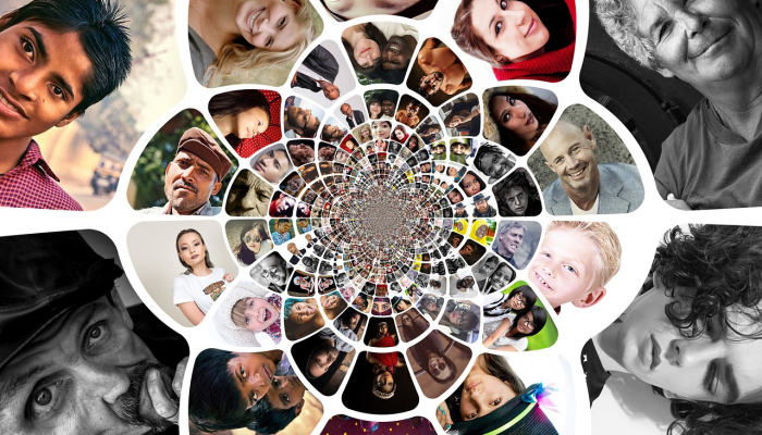 友谊，食物和羽毛：寒鸦换朋友获得奖励-但坚持与家人