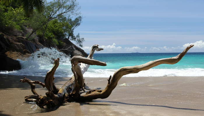 在美国发出“最后警告”几小时后，胡塞武装发射海上无人机袭击船只