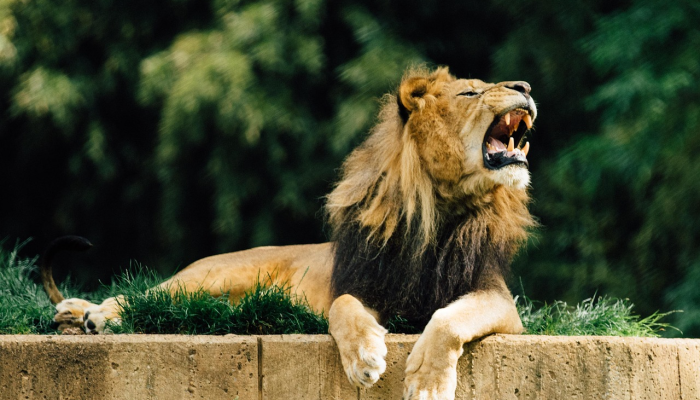 辅助神器“中至麻将开挂神器免费”开挂(透视)辅助教程 辅助神器“中至麻将开挂神器免费”开挂(透视)辅助教程