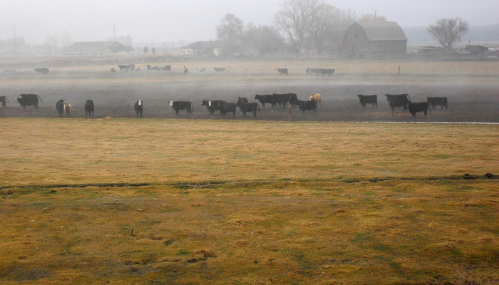 万能开挂辅助“决战血流麻将可以开挂吗”(曝光透视必备猫腻) 万能开挂辅助“决战血流麻将可以开挂吗”(曝光透视必备猫腻)