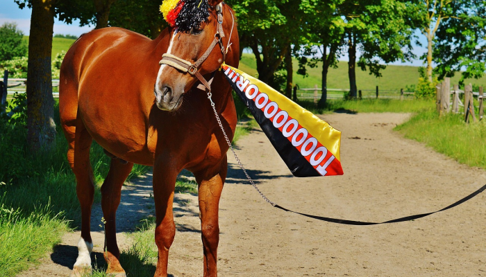 匹克球在佩塔卢马老少皆喜爱 匹克球在佩塔卢马老少皆喜爱