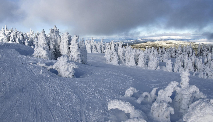 辅助神器“新玄龙大厅有没有透视挂!分享用挂教程 辅助神器“新玄龙大厅有没有透视挂!分享用挂教程