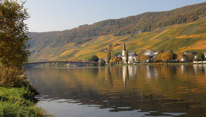 最新教你“雀神麻将助赢神器购买”开挂(透视)辅助教程 最新教你“雀神麻将助赢神器购买”开挂(透视)辅助教程