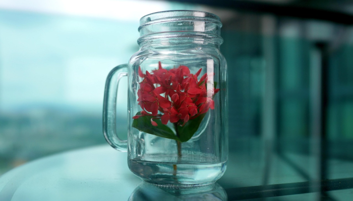 玩家必看教程“微乐家乡麻将小程序必赢神器免费!分享用挂教程