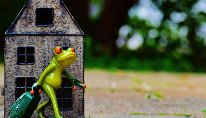 小袋鼠期待着对阵葡萄牙的小快乐 小袋鼠期待着对阵葡萄牙的小快乐