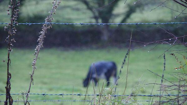 'Frustration growing' over TB programme 