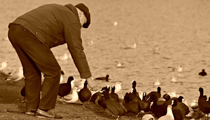 在垃圾桶里发现女人的躯干——导致好莱坞一线经纪人的儿子被捕!