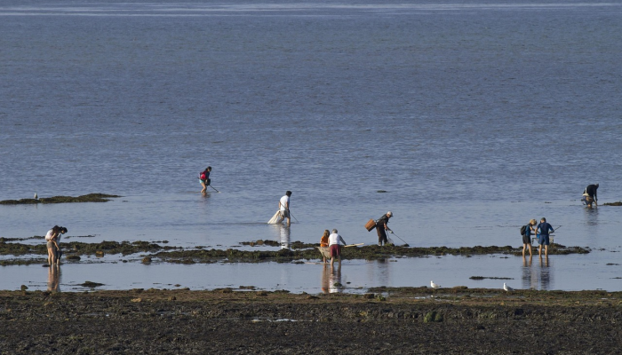 四人在严寒中试图穿越英吉利海峡前往英国