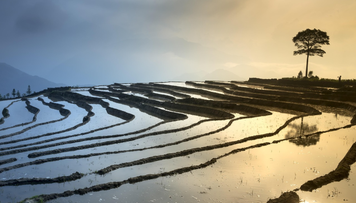 基础设施、规划是越南发展液化天然气的关键 基础设施、规划是越南发展液化天然气的关键