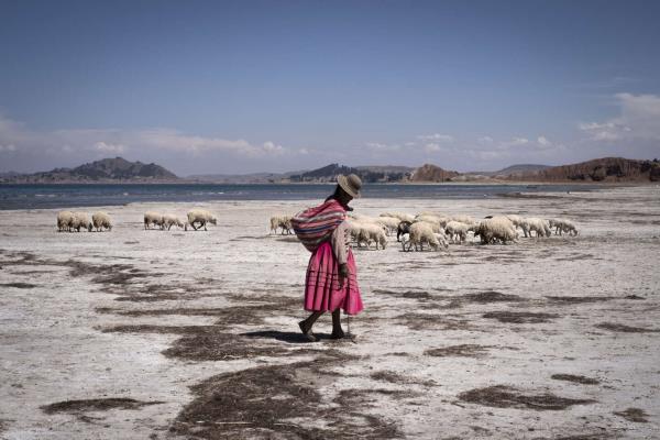 令吉将因基本面改善而改善,联邦基金利率料见顶 令吉将因基本面改善而改善,联邦基金利率料见顶