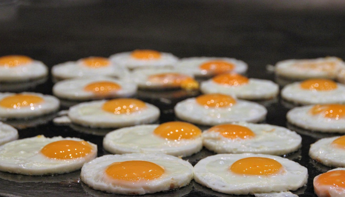 实测辅助“微乐福建麻将万能开挂器通用版”分享用挂教程