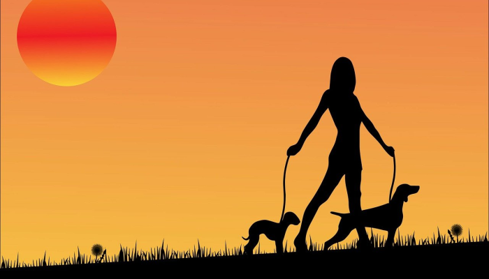 在世界肥胖日，卫生部重申致力于促进健康的生活方式