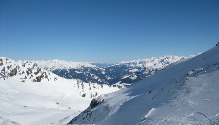 在雪夫林滑出后,伏尔霍娃在障碍滑雪首跑中领先 在雪夫林滑出后,伏尔霍娃在障碍滑雪首跑中领先