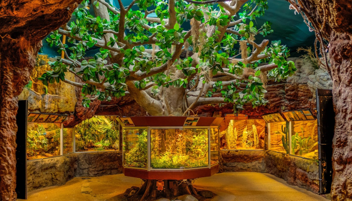 开挂辅助工具“友相逢有挂吗”(原来确实是有挂)