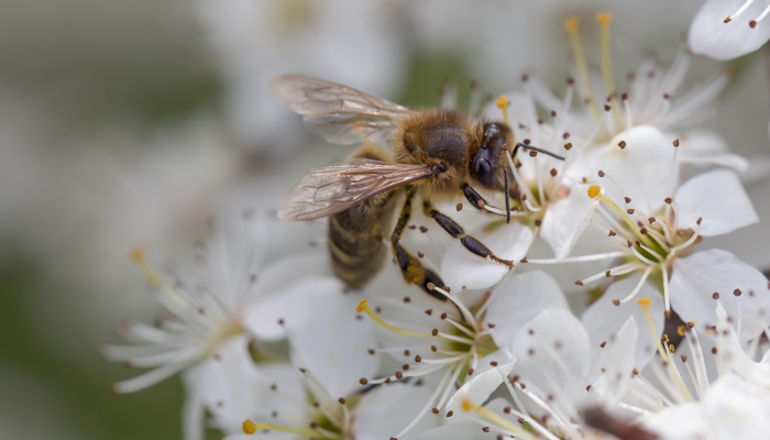 教程辅助!“大满贯互娱有没有挂”分享用挂教程 教程辅助!“大满贯互娱有没有挂”分享用挂教程