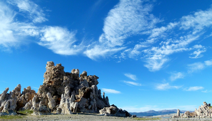 玩家必看教程“抢庄牛牛透视插件”其实确实有挂 玩家必看教程“抢庄牛牛透视插件”其实确实有挂