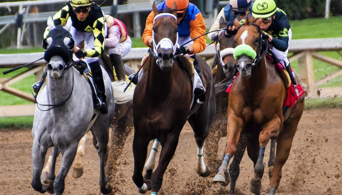 可用版本“威信茶馆开挂神器”分享用挂教程 可用版本“威信茶馆开挂神器”分享用挂教程