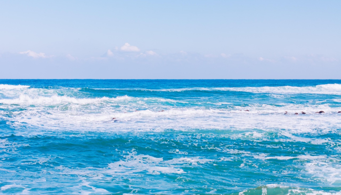 教程辅助!“微乐山西麻将万能开挂器”(原来确实是有挂) 教程辅助!“微乐山西麻将万能开挂器”(原来确实是有挂)