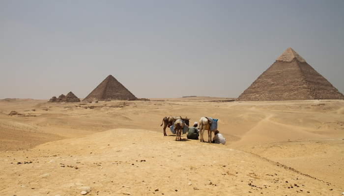 深受大众喜爱的鞋类品牌勃肯鞋(Birkenstock)刚刚提交了IPO申请