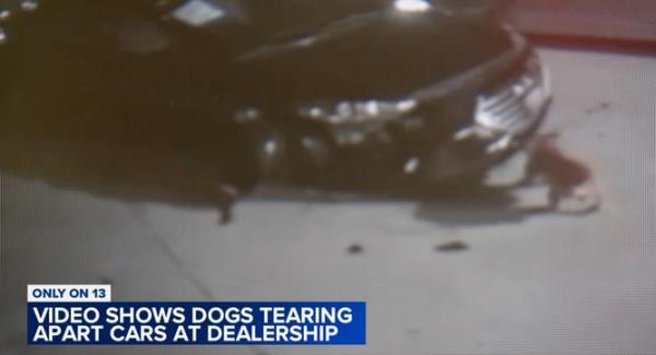 教程辅助!“游趣互娱有挂吗!详细分享装挂步骤 教程辅助!“游趣互娱有挂吗!详细分享装挂步骤