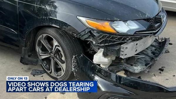 万能开挂辅助“多乐跑得快免费开挂神器!分享用挂教程 万能开挂辅助“多乐跑得快免费开挂神器!分享用挂教程