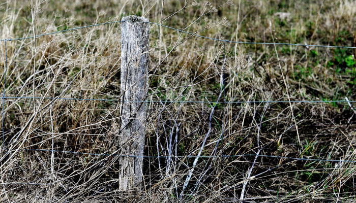 开挂辅助工具“天天微友有没有挂”(原来确实是有挂) 开挂辅助工具“天天微友有没有挂”(原来确实是有挂)