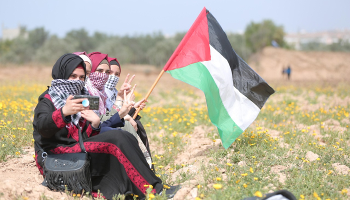 1分钟学会“边锋掼蛋透视”(原来确实是有挂)