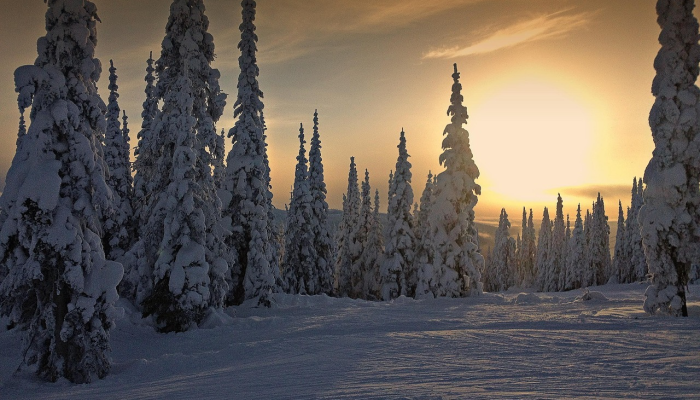 推荐一款”衢州都莱罗松开挂教程!分享用挂教程 推荐一款”衢州都莱罗松开挂教程!分享用挂教程